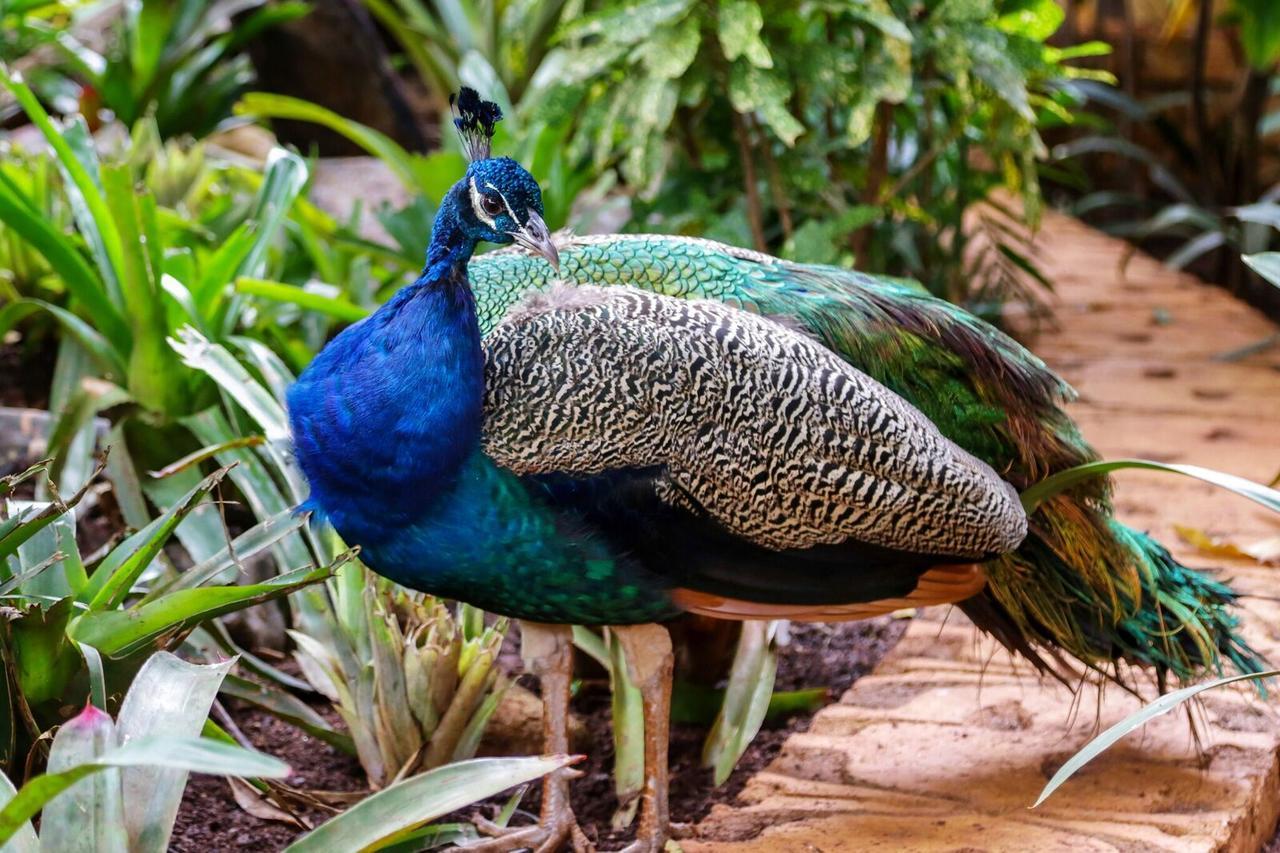 Summerfield Botanical Garden & Exclusive Resort Matsapha エクステリア 写真